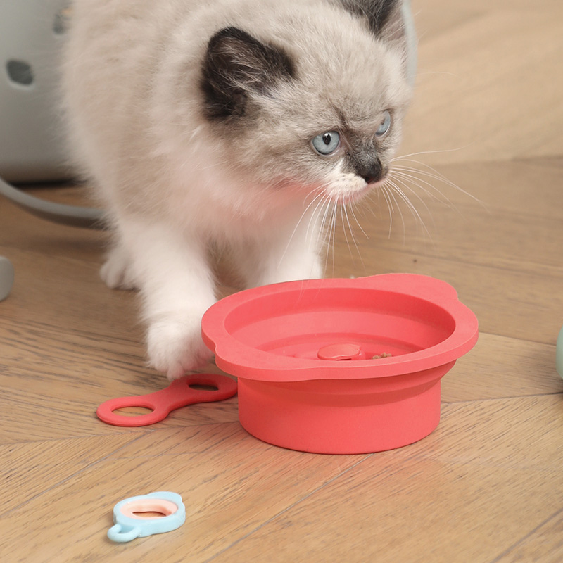 FlickArt lemon buckle pet bowl