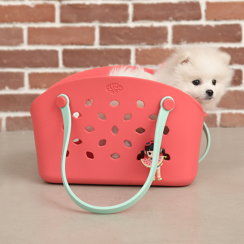 FlickArt Multi-pet Bag - Watermelon Red